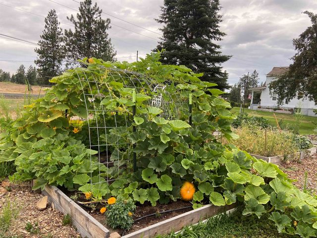3307 S Abbott Rd, Spokane, WA 99224