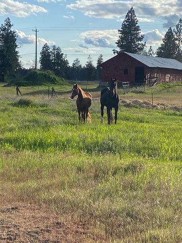 3307 S Abbott Rd, Spokane, WA 99224