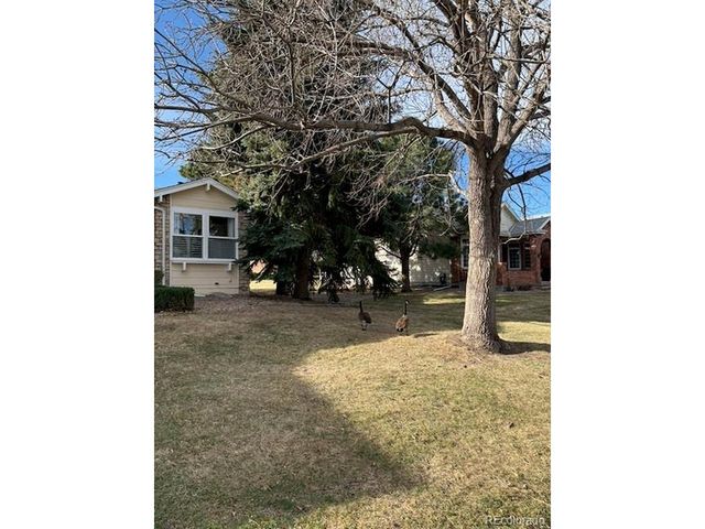 4 Shetland Ct, Highlands Ranch, CO 80130