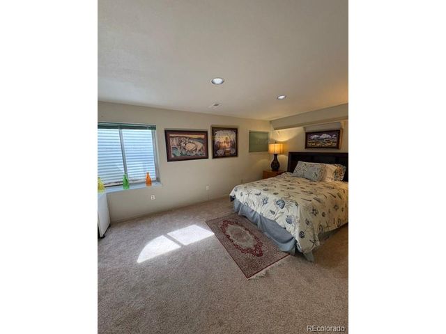 4 Shetland Ct, Highlands Ranch, CO 80130