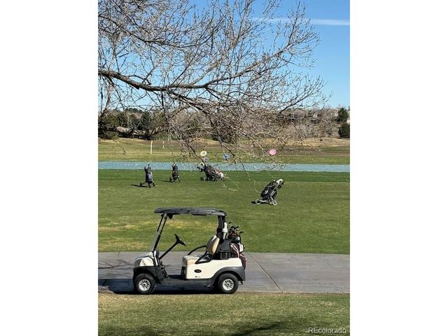 4 Shetland Ct, Highlands Ranch, CO 80130