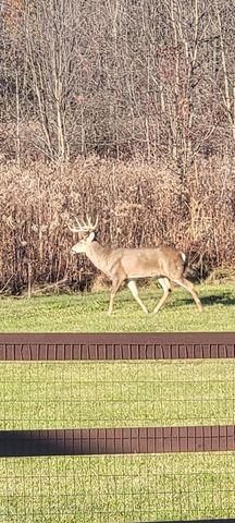 1694 McClellan Road, Spring Valley Twp, OH 45385