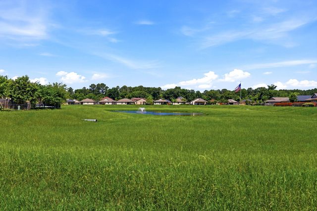 9630 Paloma Creek Drive, Tomball, TX 77375