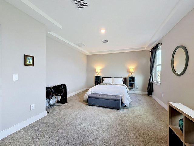 3726 SAVANNA PALMS COURT, Bradenton, FL 34211