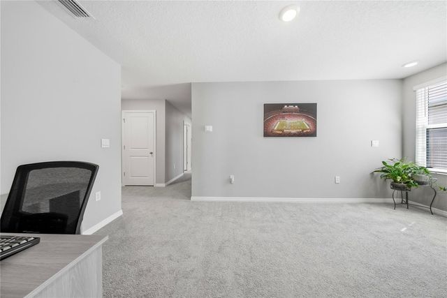 12120 LILY MAGNOLIA LANE, Riverview, FL 33569