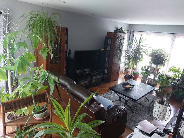 406 W Marion Street, Prospect Heights, IL 60070