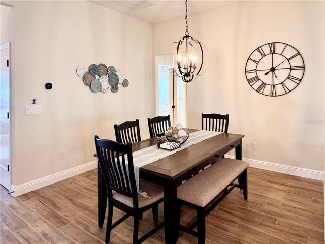 5596 MATANZAS LOOP, The Villages, FL 32163