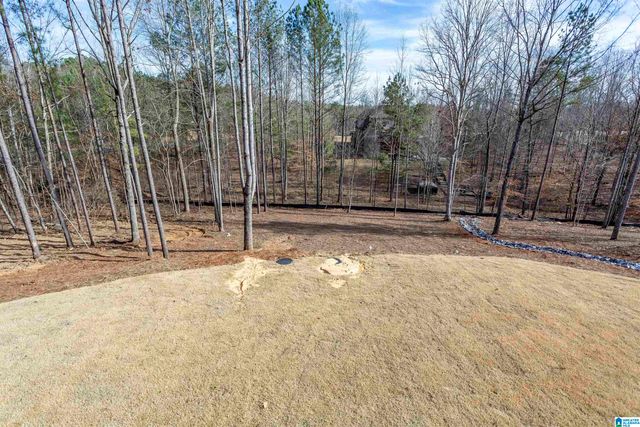 589 WHITE TAIL RUN, Chelsea, AL 35043