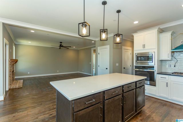 589 WHITE TAIL RUN, Chelsea, AL 35043