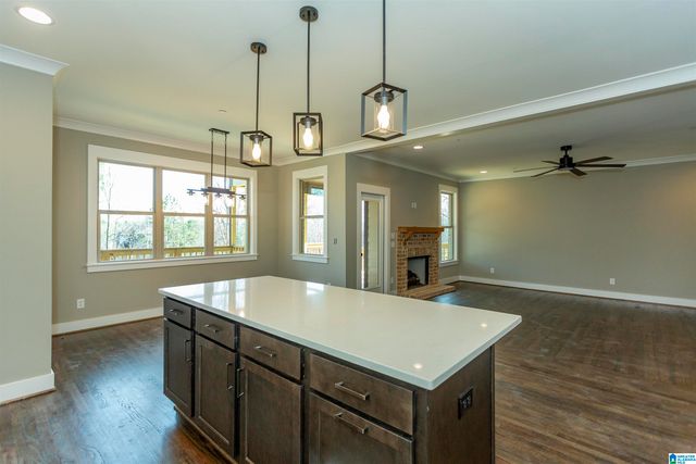 589 WHITE TAIL RUN, Chelsea, AL 35043