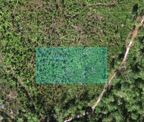 TIGER RD, Lake Wales, FL 33898