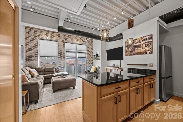 12 S Lexington Avenue 401, Asheville, NC 28801