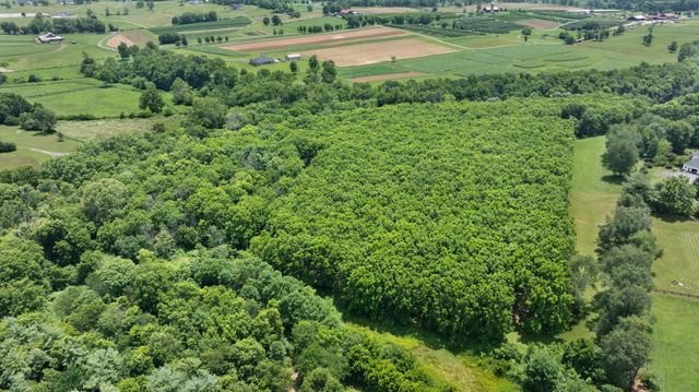 5365 Paris Road, Georgetown, KY 40324