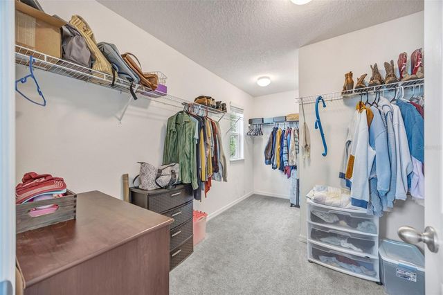 5420 ANGELONIA TERRACE, Land O Lakes, FL 34639