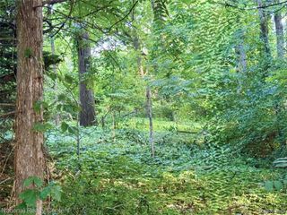 0000 Knob Hill Drive, Commerce Charter Township, MI 48382