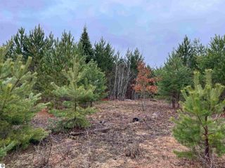 10299 Levi Lane, Kingsley, MI 49649