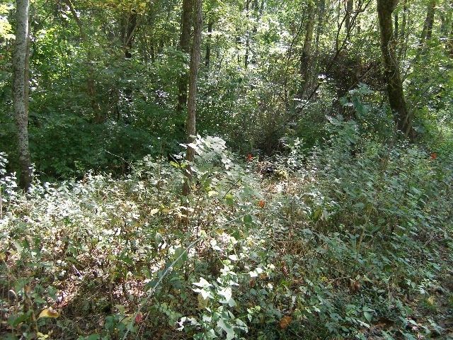 0 Sugar Ridge, Spring Hill, TN 37174