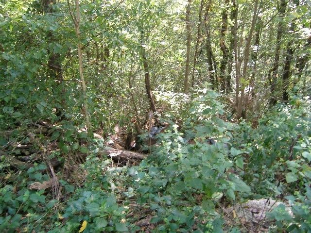 0 Sugar Ridge, Spring Hill, TN 37174