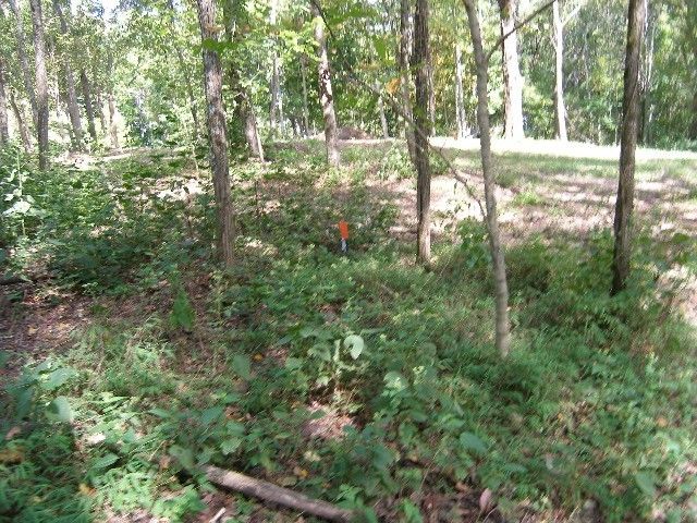 0 Sugar Ridge, Spring Hill, TN 37174