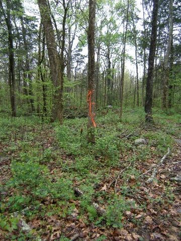 0 Sugar Ridge, Spring Hill, TN 37174