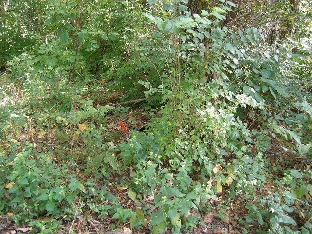 0 Sugar Ridge, Spring Hill, TN 37174