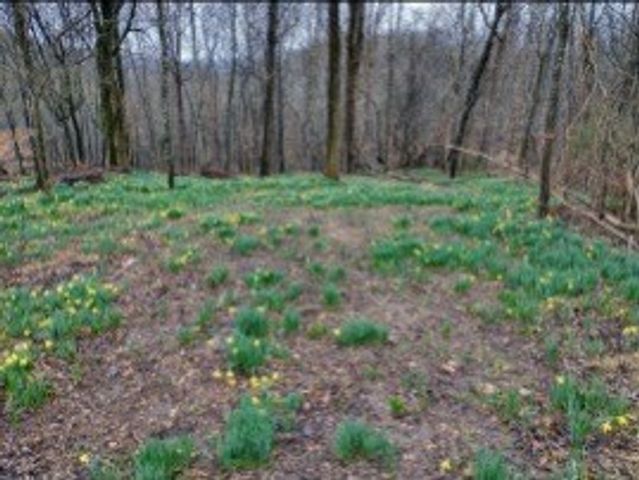 0 Sugar Ridge, Spring Hill, TN 37174