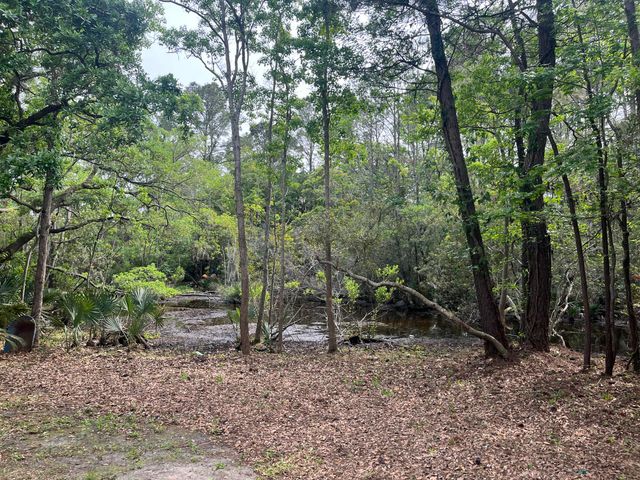 1533 Theresa Drive, Charleston, SC 29412