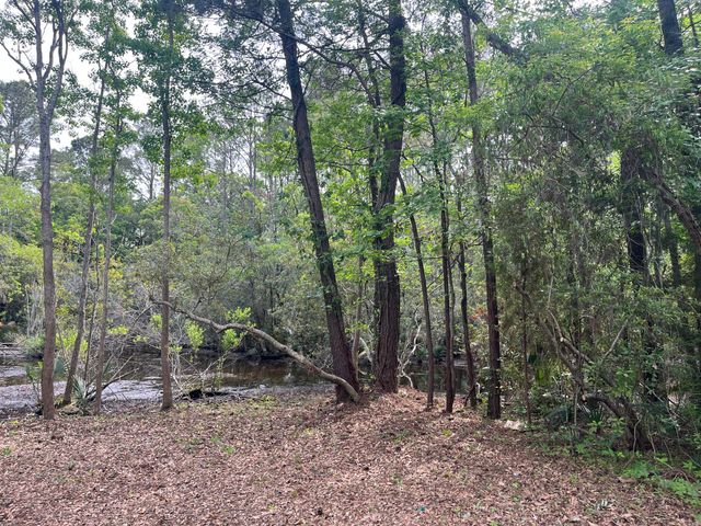 1533 Theresa Drive, Charleston, SC 29412