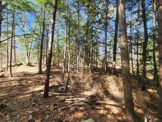 1 W Main St # 233-1, Hillsborough, NH 03244