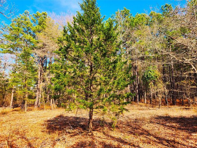 Lot 463 US-175, Larue, TX 75770