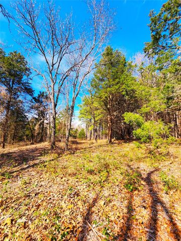 Lot 463 US-175, Larue, TX 75770
