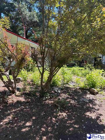 1109 Piano Rd, Florence, SC 29501