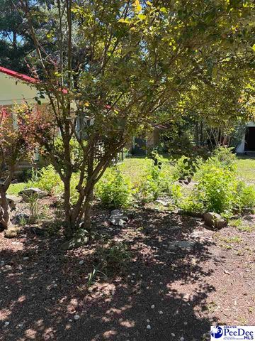 1109 Piano Rd, Florence, SC 29501