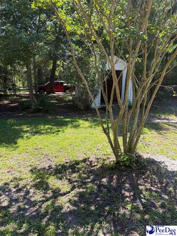 1109 Piano Rd, Florence, SC 29501