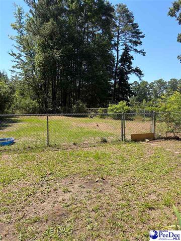 1109 Piano Rd, Florence, SC 29501