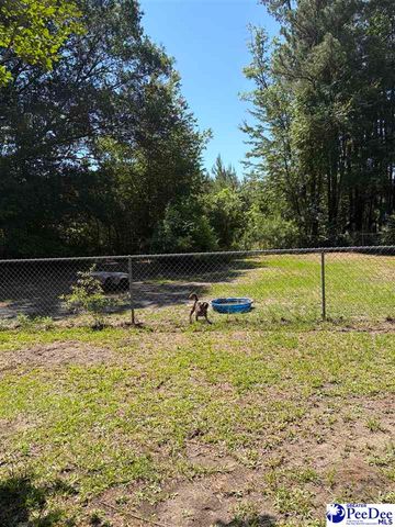 1109 Piano Rd, Florence, SC 29501