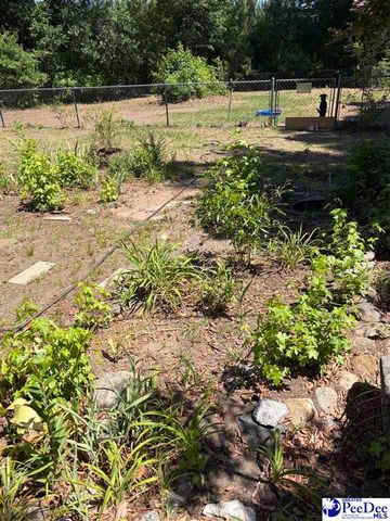 1109 Piano Rd, Florence, SC 29501