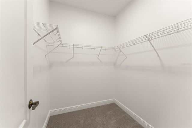 13544 RIGGS WAY, Windermere, FL 34786