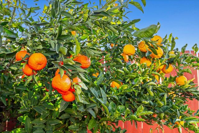 1332 Bluejay Way, Modesto, CA 95351