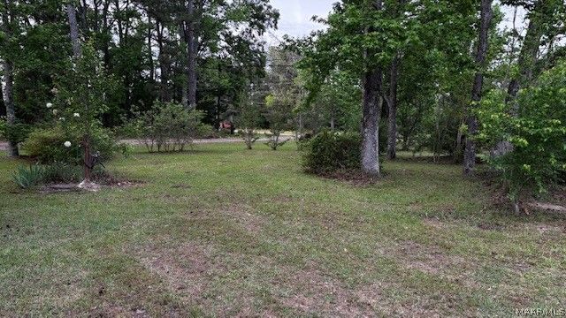 1231 Kowaliga Road, Eclectic, AL 36024