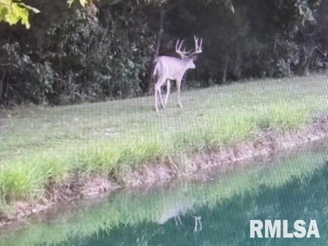 4490 Brushy Creek Church Road, Galatia, IL 62935