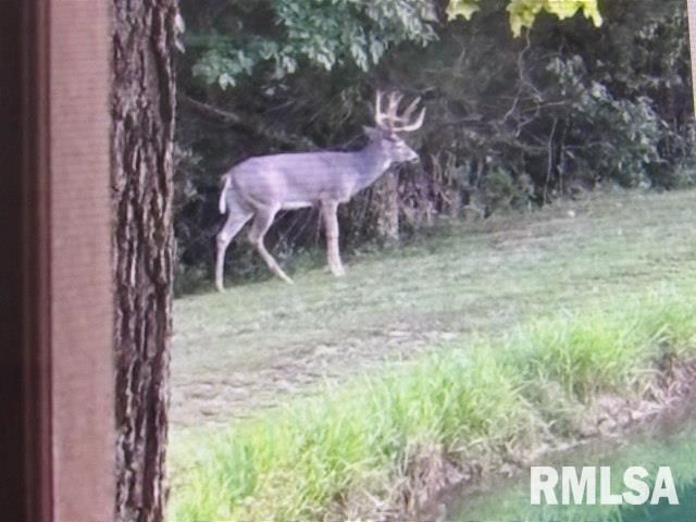 4490 Brushy Creek Church Road, Galatia, IL 62935