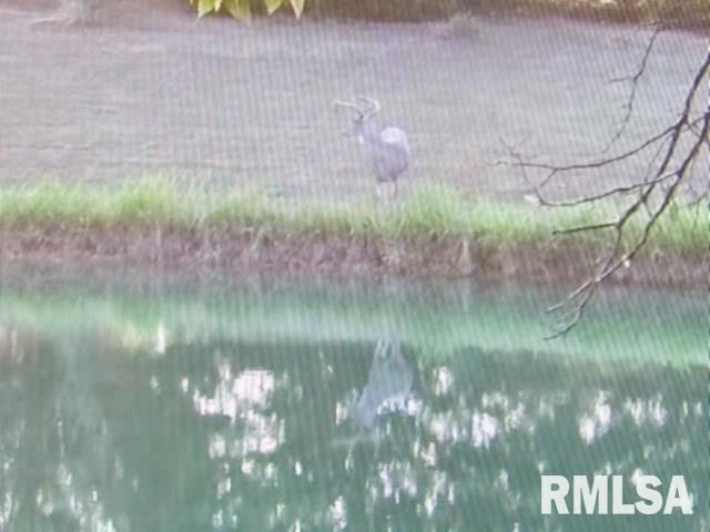 4490 Brushy Creek Church Road, Galatia, IL 62935