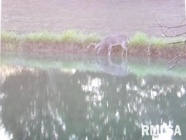 4490 Brushy Creek Church Road, Galatia, IL 62935