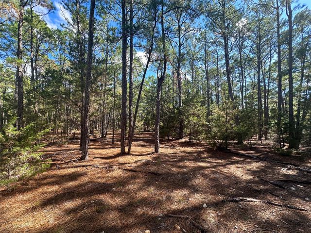 Lot 11 Hickory Ridge DR, Bastrop, TX 78602