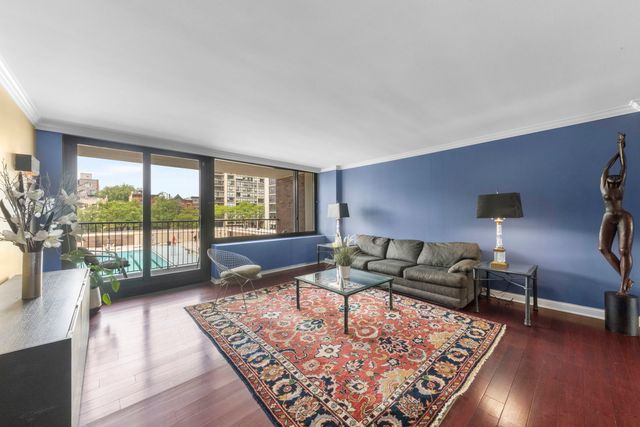 1555 N Sandburg Terrace 305K, Chicago, IL 60610