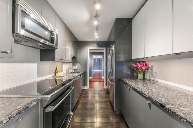 1555 N Sandburg Terrace 305K, Chicago, IL 60610
