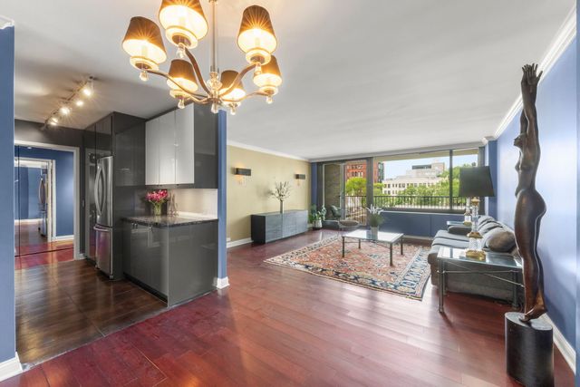 1555 N Sandburg Terrace 305K, Chicago, IL 60610