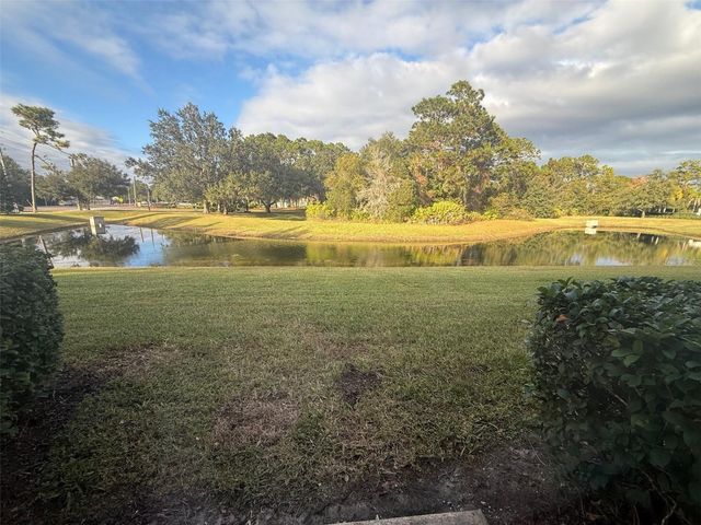 10107 WILLOW GROVE COURT, Orlando, FL 32825