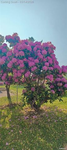 5441 Arden Avenue, Warren, MI 48092